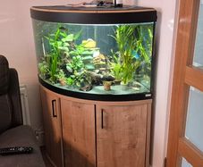 Aquarium