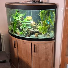 Aquarium