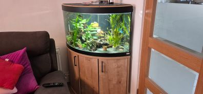 Aquarium