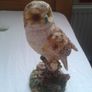 Bird ornaments Image 3