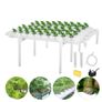 54 Holes Hydroponic Piping Site Grow Kit Deep Water Culture Planting Box Gardening System Nursery Pot Hydroponic Rack 220V Image 2