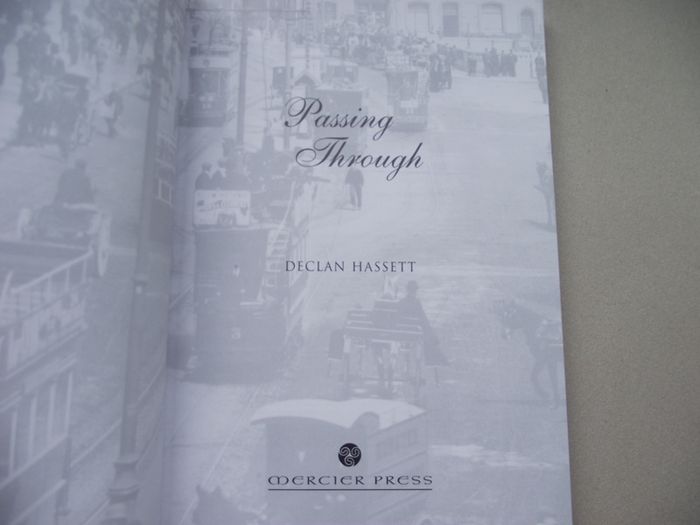 'Passing Through' by Declan Hassett