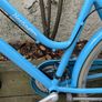 Ladies Bike Image 2