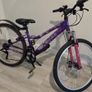 Apollo Independence Mountain Bike Image 4