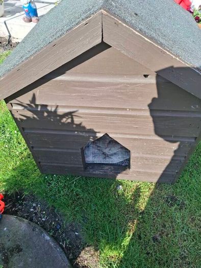 dog house