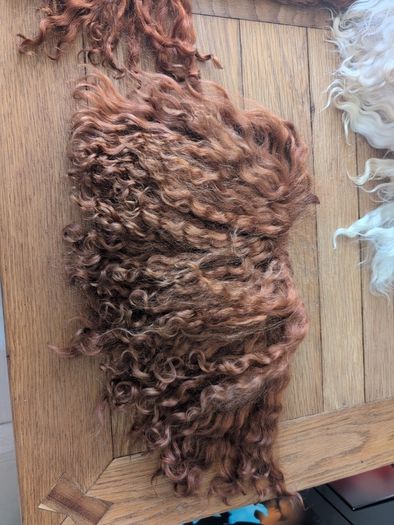 Doll hair Goat skin with long curls