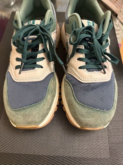 shoe