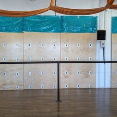 Ballet/Pilates/Barre bars (barre)