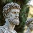 TheStoics