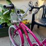 Girls Bike Image 5