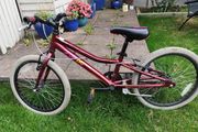 girls bike 20 inch