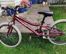 girls bike 20 inch