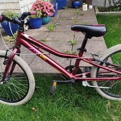 girls bike 20 inch