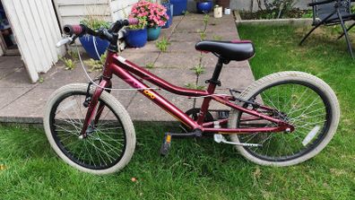 girls bike 20 inch