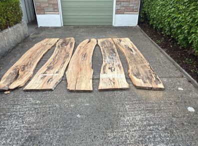 Irish Beech Planks - Spalted x 5