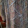 Bassini Two Piece Layered Top ,UK 16, Mint Condition Image 4