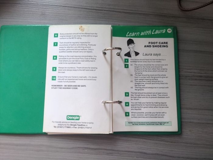 Equestrian info - Learn with Laura