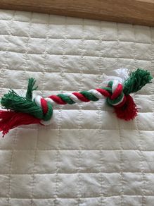 dog toy