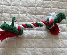 dog toy