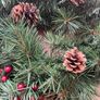 christmas wreath Image 3