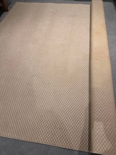 rug in great condition..too big for my space