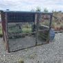 Large dog house and pen Image 2
