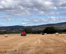 Straw: Round Bales