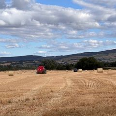 Straw: Round Bales