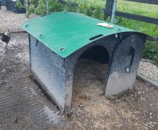 Duck house