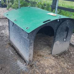 Duck house