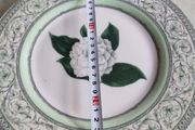 Lovely Hangingv Plate By Royalharticulturalsociety.
