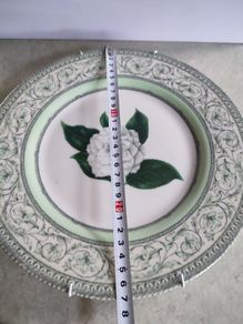 Lovely Hangingv Plate By Royalharticulturalsociety.
