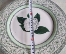 Lovely Hangingv Plate By Royalharticulturalsociety.