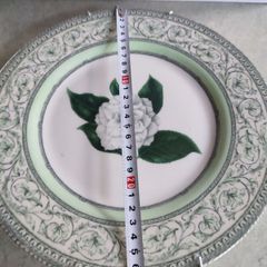 Lovely Hangingv Plate By Royalharticulturalsociety.