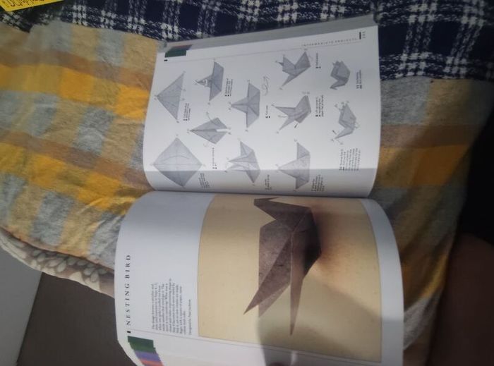 Paper crafts and Origami