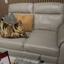 1 x two seater sofa Image 3