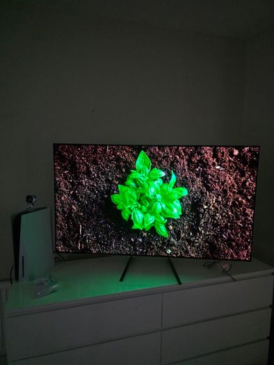 Lg Oled Tv 55 Inch 4k 120hz Refresh Rate