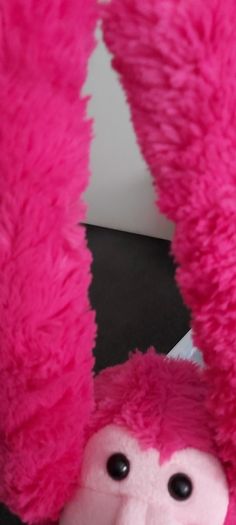 Cheeky Monkey Teddy plush (DC)