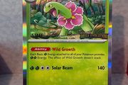 pokemon card  meganium staff promo
