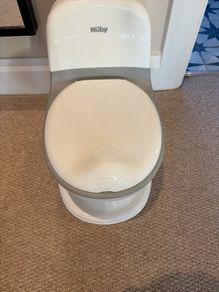 Potty with flush noises