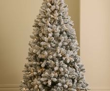 M&S 7ft Snowy Christmas Tree.  Pending Collection