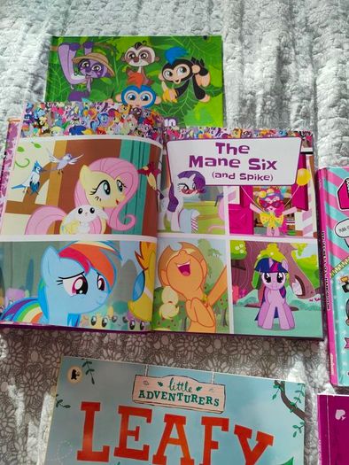 Bundle of books like new
