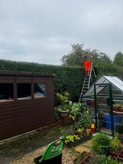 Gardening & Tree Service