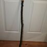 Walking stick Image 6