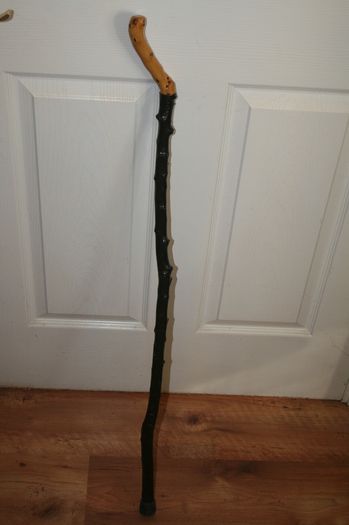 Walking stick