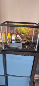 Fishtank 25l like NEW !