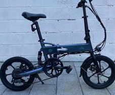 Fiido D2S Folding Electric Bike