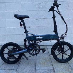 Fiido D2S Folding Electric Bike