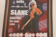Bruce Springsteen Slane Castle poster