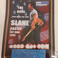 Bruce Springsteen Slane Castle poster